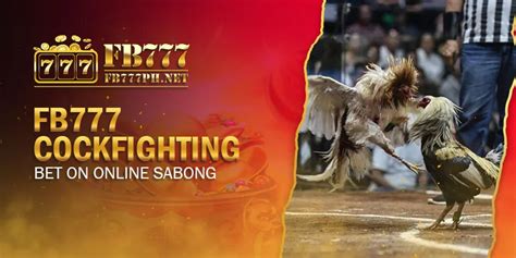 sabong777|Sabong bet .